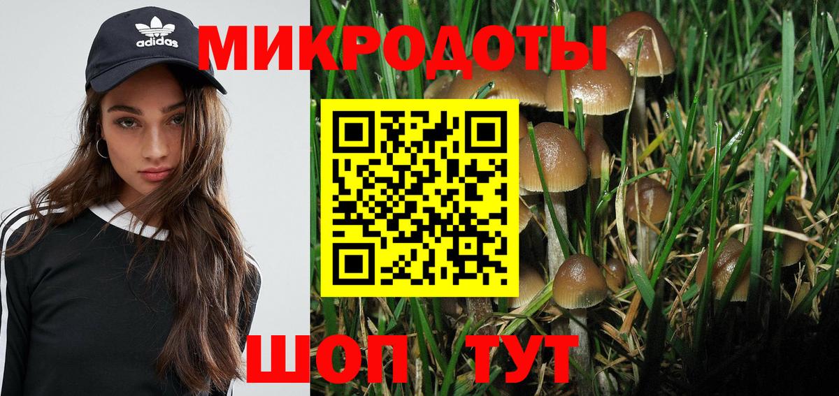 Галлюциногенные грибы прущие грибы  Вход с VPN  Волгоград 